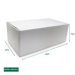 Caja Estándar Pequeña Nº 2