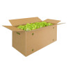 Standard Box With Handle No. 4