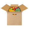 Standard Box With Handle No. 4