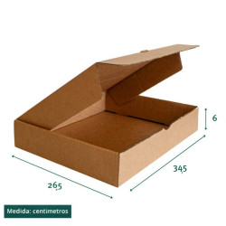 Medium Kraft Case