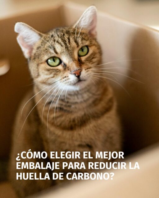 ♻️Elegir soluciones de embalaje sostenibles ayuda a las empresas a avanzar hacia modelos más eficientes y alineados con los valores actuales del mercado, sin renunciar a la funcionalidad ni a la calidad.

Porque cada elección cuenta cuando hablamos de sostenibilidad. 🌱

#sostenibilidad #MedioAmbiente #EcoFriendly #HuellaDeCarbono #packaging